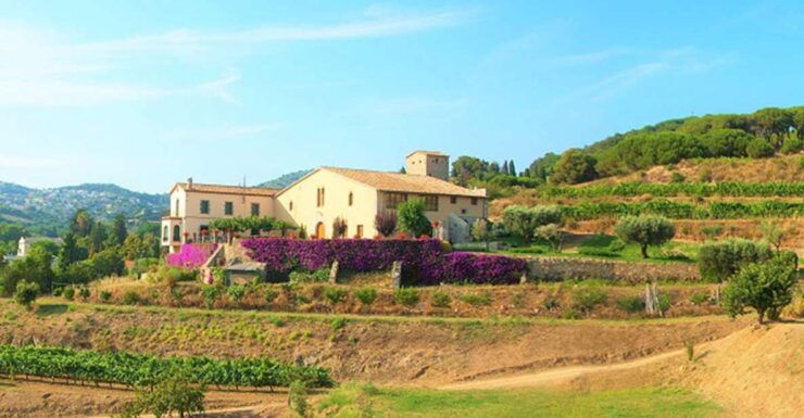 From Barcelona: Alella Wine Tour by Electric Bike - Tour Overview