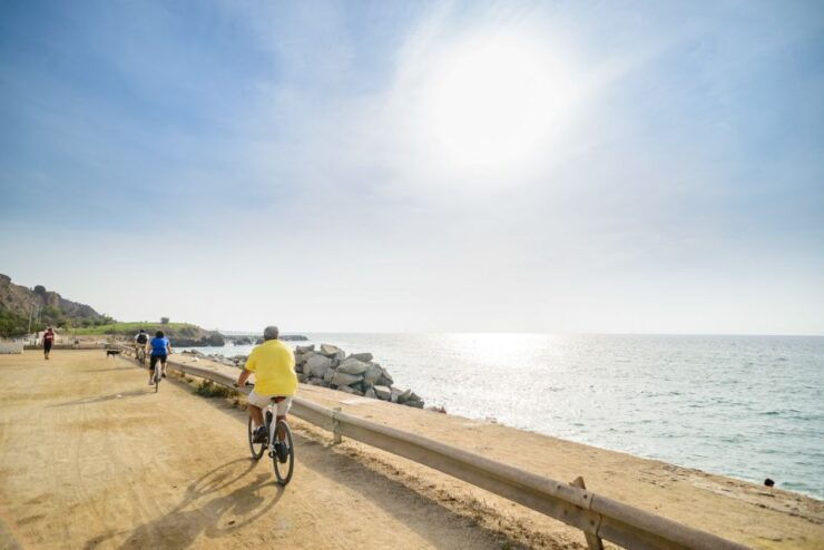 From Barcelona: Alella Wine Tour by Electric Bike - Experience Highlights