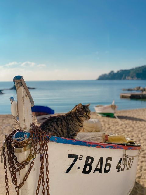 From Barcelona: Breakfast in Spain Lunch in France - Tour Overview