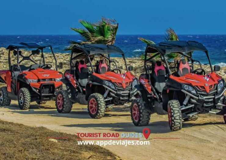 From Barcelona: Buggy Route, Lunch Premium & Visit Winery - Good To Know