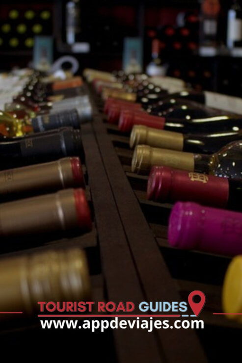 From Barcelona: Buggy Route, Lunch Premium & Visit Winery - Buggy Route Experience