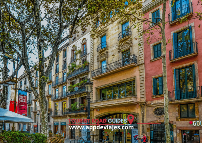 From Barcelona: City Highlights Tour Private 4 Hours - Important Information