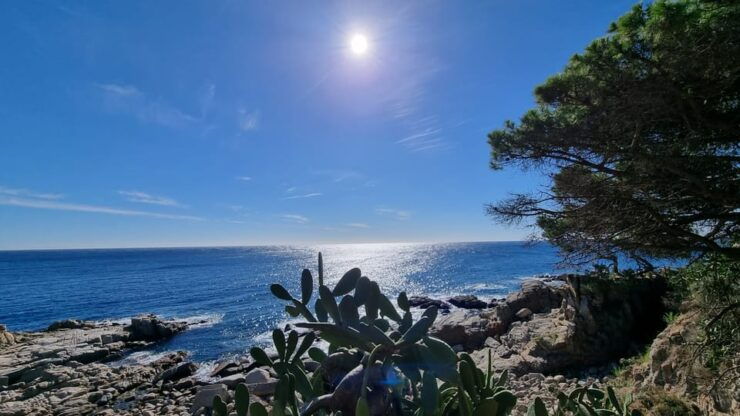 From Barcelona: Costa Brava Coastline Medieval Village Tour - Cancellation and Reservation Policy