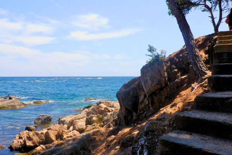 From Barcelona: Costa Brava & Girona Small Group Day Trip - Experience Highlights