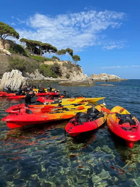 From Barcelona: Costa Brava Kayak & Snorkel Tour with Picnic - Who Will Love This Tour?