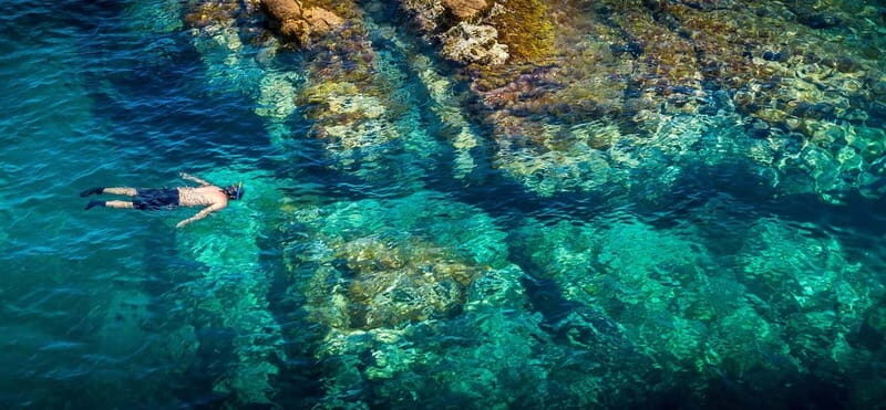 From Barcelona: Costa Brava Private Tour with Lunch - Who Would Love This Experience?