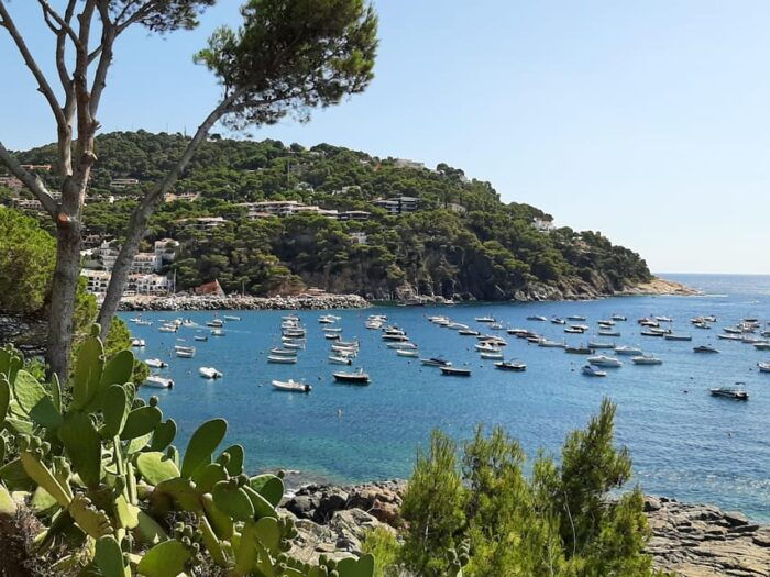 From Barcelona: Costa Brava Typical Towns Full Day Tour - Explore Charming Fishing Villages and Coastal Towns