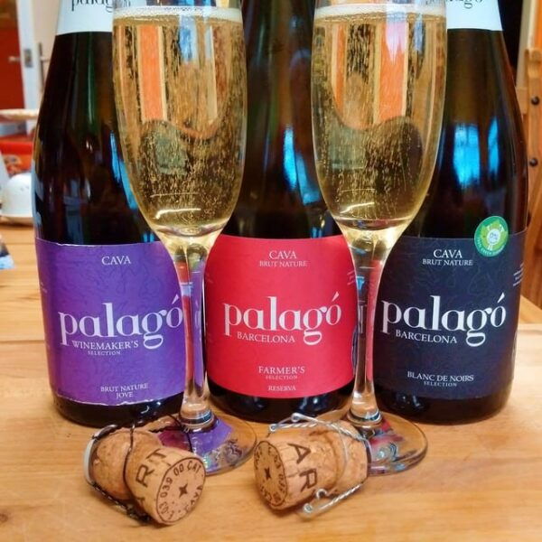 From Barcelona: Create Your Own Cava Workshop & Tasting - Unique Winemaking Experience