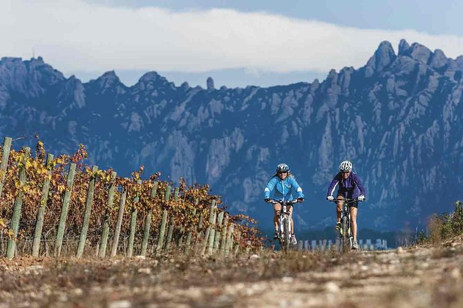 From Barcelona: E-Bike Tour in the Vineyards With 2 Wineries - Tour Details