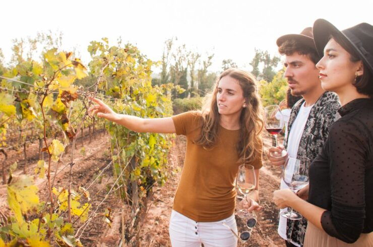 From Barcelona: Full-Day Montserrat & Wine Small Group Tour - Activity Details
