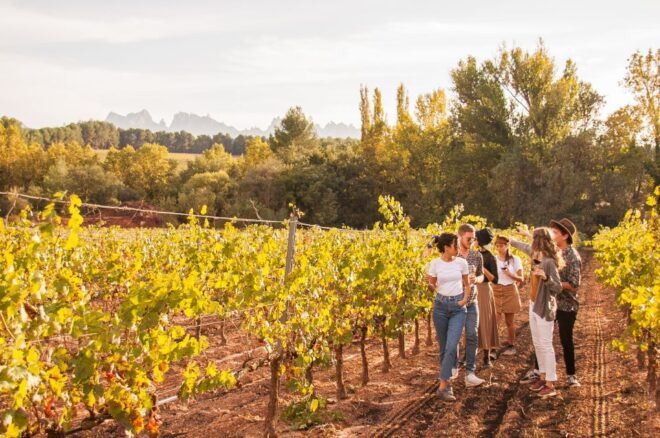 From Barcelona: Full-Day Montserrat & Wine Small Group Tour - Meeting Point and Details