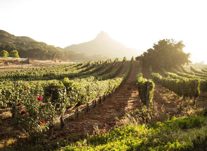 From Barcelona: Half-Day Trip to Montserrat Mountain - Guided Tours