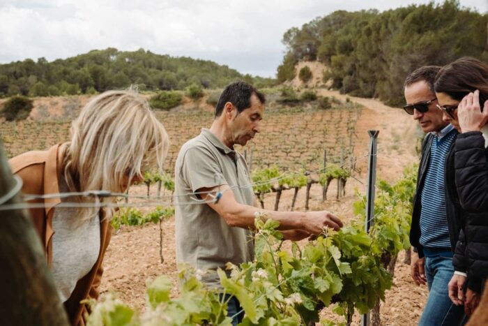 From Barcelona: Montserrat & Cava Winery Day Trip - Group Size, Transportation, and Inclusions