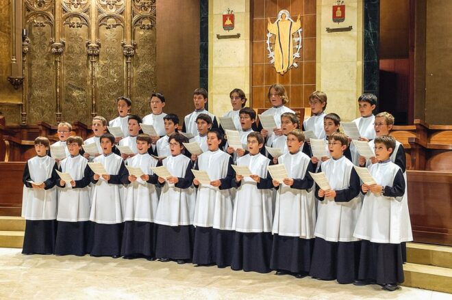 From Barcelona: Montserrat Half Day Guided Tour - Scenic Journey on the Cogwheel Train to the Mountain Top