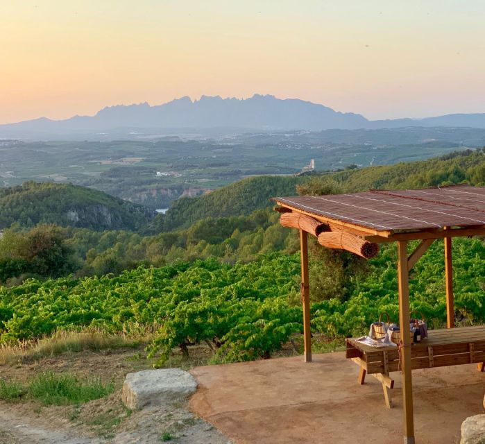 From Barcelona: Montserrat Lunch & Wine Tasting in Vineyard - Cava Llopart Winery