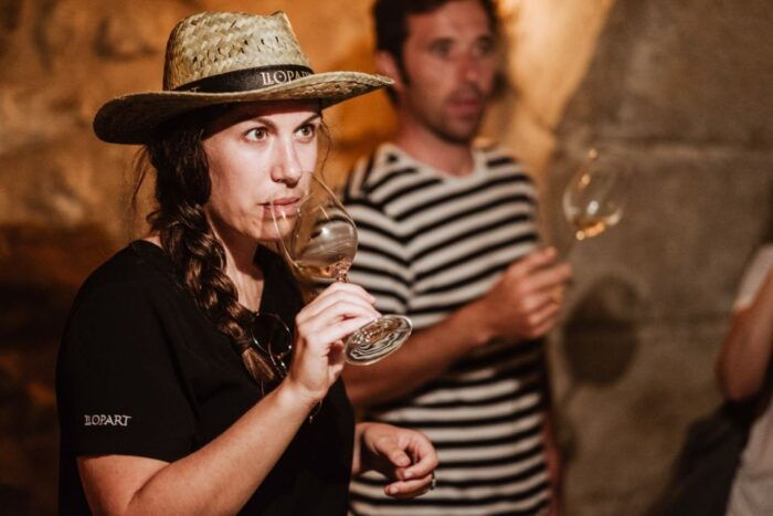 From Barcelona: Montserrat Lunch & Wine Tasting in Vineyard - Tour Inclusions