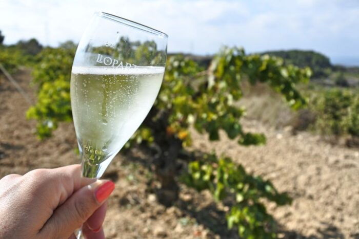 From Barcelona: Montserrat Lunch & Wine Tasting in Vineyard - Common Questions