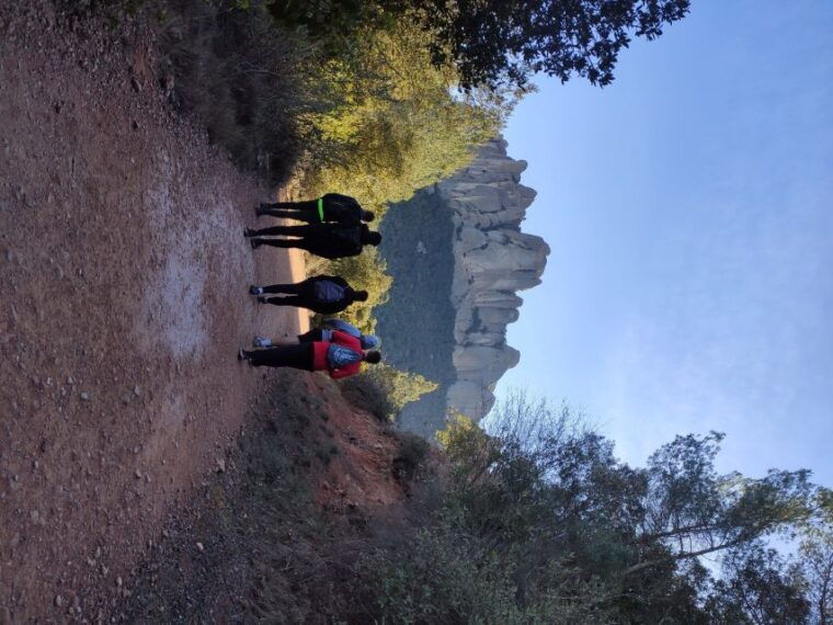From Barcelona: Montserrat Mountain Hike and Monastery Tour - Customer Reviews and Ratings