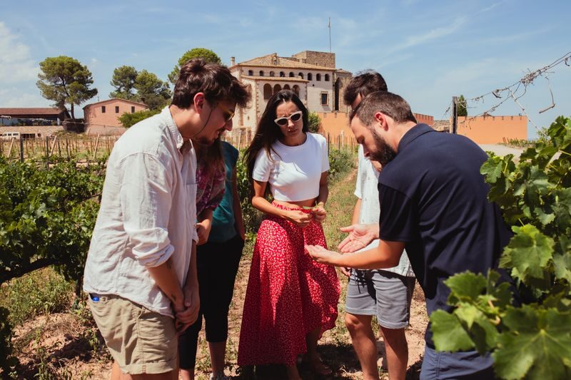 From Barcelona: Montserrat with Winery Visit, Wine Tasting & Lunch - Lunch and wine at a family-run winery
