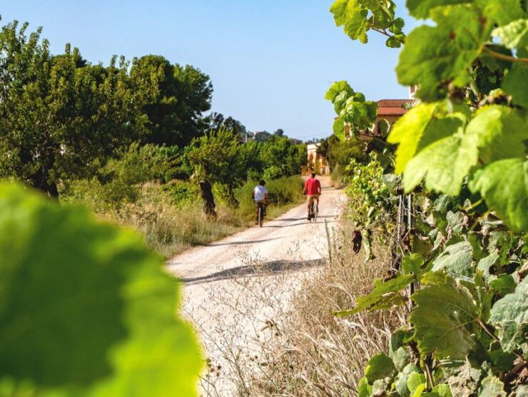 From Barcelona: Penedès E-Bike Tour With 2 Winery Visits - Tour Duration and Cancellation Policy