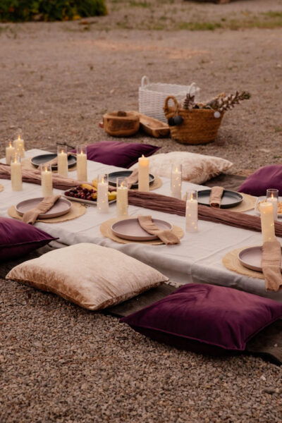 From Barcelona: Penedès SUNSET Wine Tasting + Picnic + Tapas - Transportation and Logistics