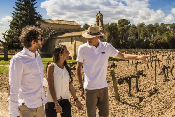 From Barcelona: Penedés Vineyards Tour by 4WD W/Wine & Cava - Overall Rating and Review Feedback