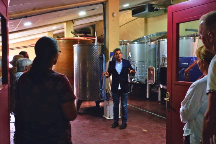 From Barcelona: Priorat's Exclusive Cellars, Wines & Nature - Meet the Winemakers Experience