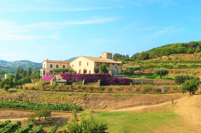 From Barcelona: Private Alella Wine Tour by Electric Bike - Itinerary and Activities