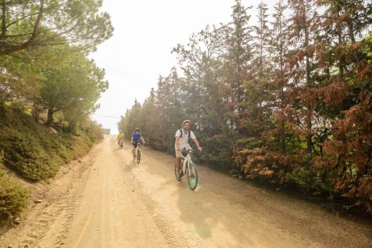 From Barcelona: Private Alella Wine Tour by Electric Bike - Important Information and Requirements