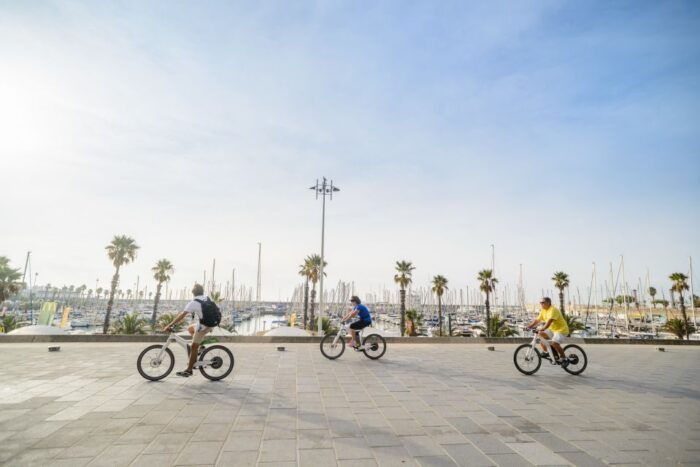 From Barcelona: Private Alella Wine Tour by Electric Bike - Exploring the Alella Wine Region