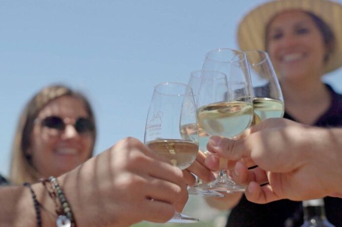 From Barcelona: Private Alella Wine Tour by Electric Bike - Enhancing the Experience With Electric Bikes