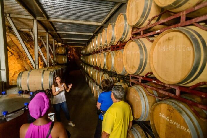 From Barcelona: Private Alella Wine Tour by Electric Bike - Common Questions