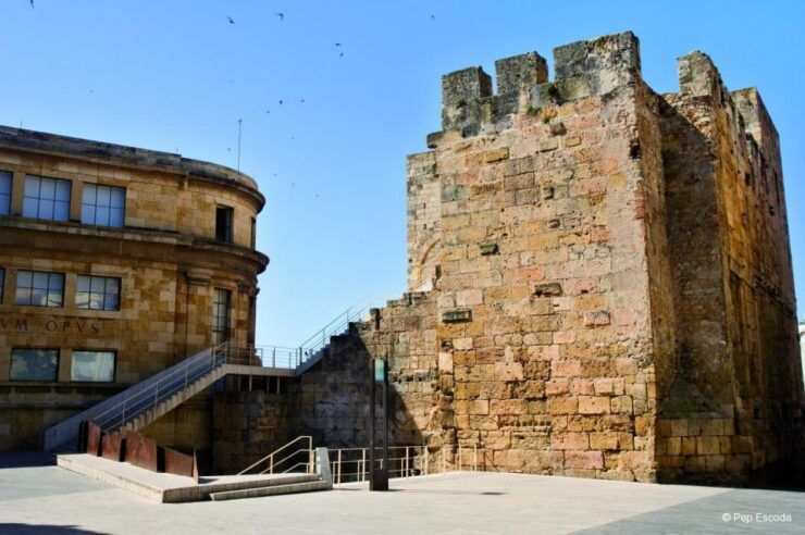 From Barcelona: Private Full-Day Tarragona and Sitges Tour - Transportation and Guide Information