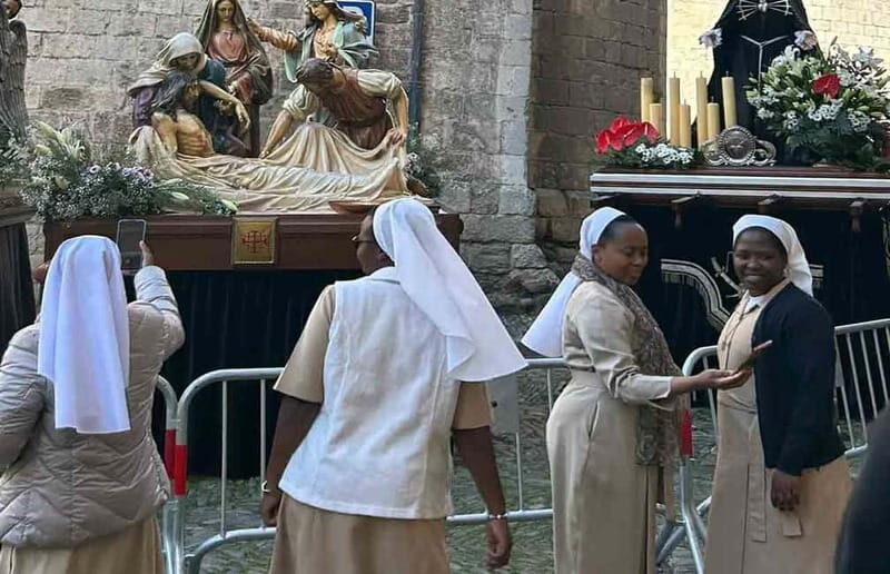 From Barcelona: Private Gerona and Besalú Guided Tour - A Close Look at the Experience