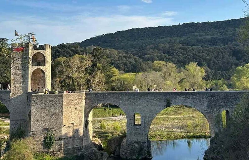 From Barcelona: Private Gerona and Besalú Guided Tour - Who Will Love This Tour?