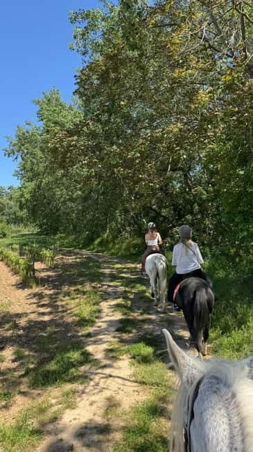 From Barcelona: PRIVATE Horseback Ride + Tapas + Picnic - Why Choose This Tour? The Unique Benefits