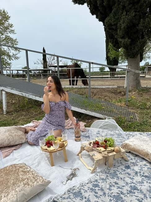 From Barcelona: PRIVATE Horseback Ride + Tapas + Picnic - What Could Be Better?