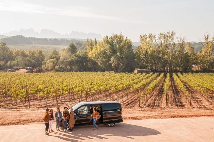 From Barcelona: Private Wine, Tapas and Cava Tour - Multilingual Guides and Pickup Details