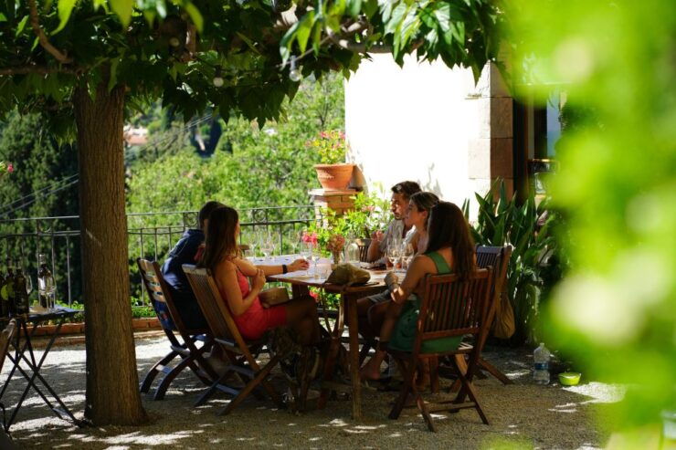 From Barcelona: Sailing and Wine Tasting Experience - Booking Information