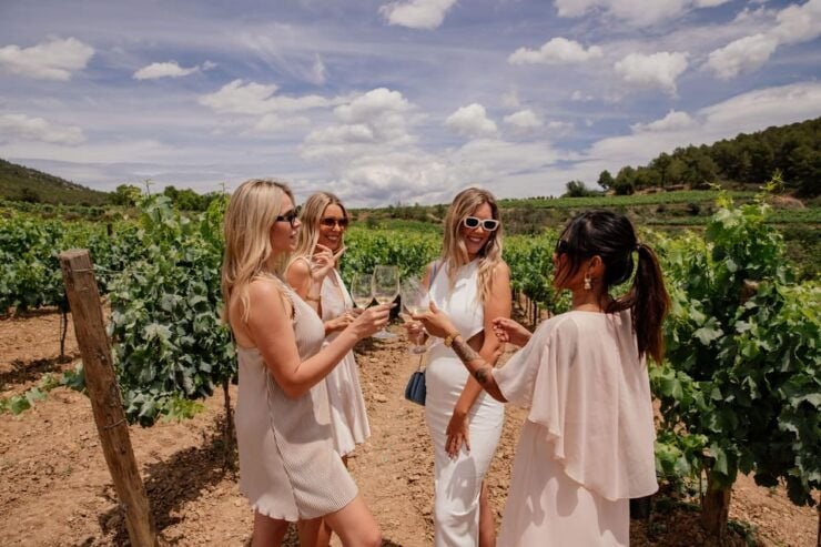 From Barcelona: SITGES Tour + PENEDÈS Wine Tasting & TAPAS - Good To Know
