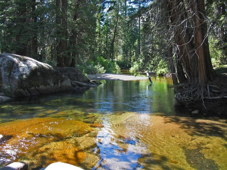 From Barcelona: Small-Group Pyrenees Hike With a Local Guide - Booking Details