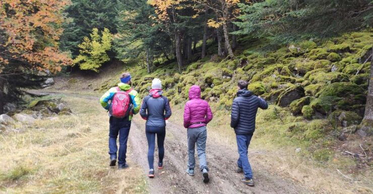 From Barcelona: Small-Group Pyrenees Hike With a Local Guide - Experience Highlights