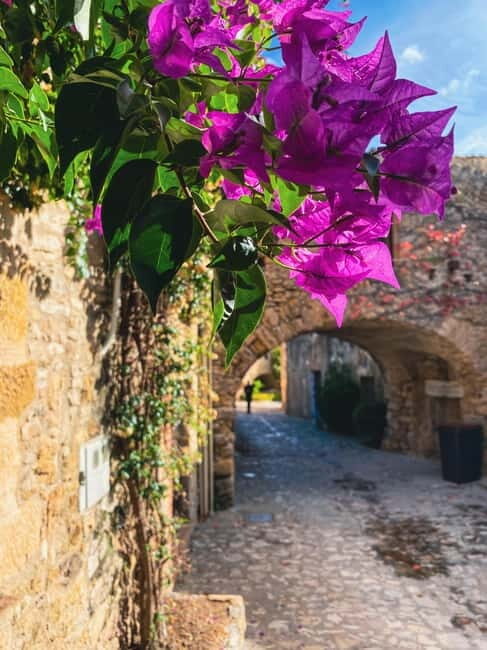 From Barcelona: Small-Group Tour Costa Brava & Dali Museum - Final Thoughts