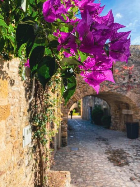 From Barcelona: Small-Group Tour Costa Brava & Dali Museum - The Sum Up