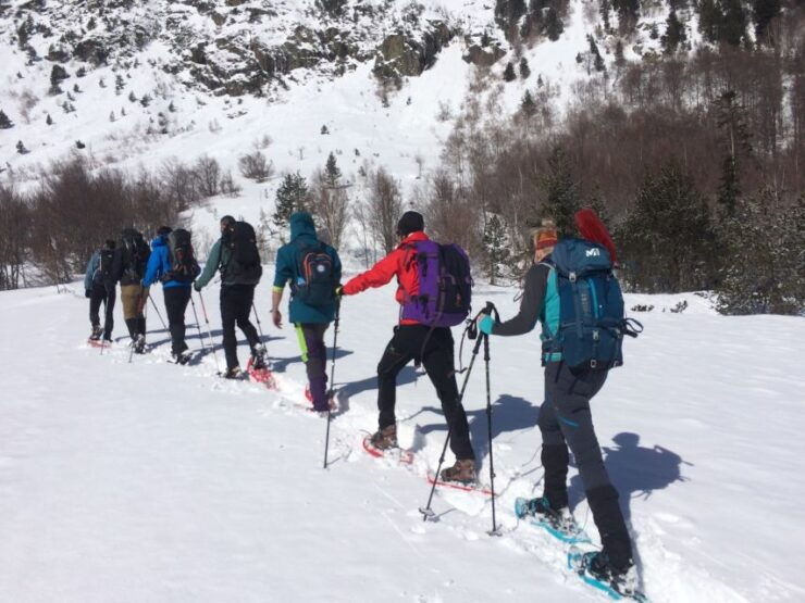 From Barcelona: Snowshoeing in the Pyrenees - Transportation From Barcelona to Pyrenees