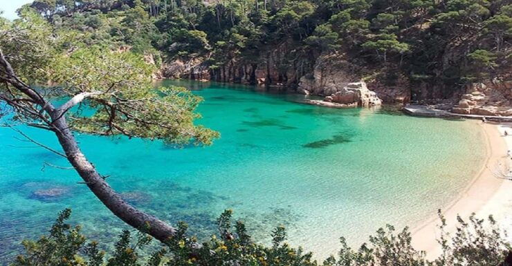 From Barcelona: to Aiguablava & Tamariu Beaches, Costa Brava - Discovering Aiguablava Beach
