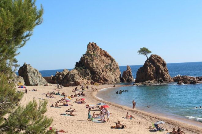 From Barcelona: Tossa De Mar Day Tour With Beach Time - Food and Dining Options