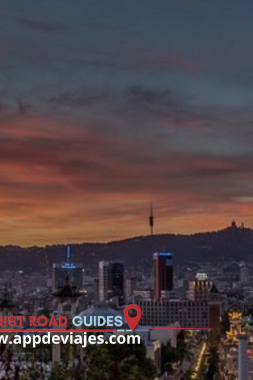 From Barcelona: Tour Private Barcelona, Montjuic & Palau - Good To Know