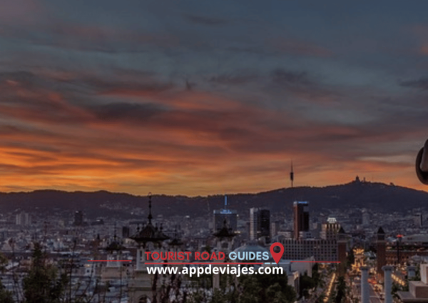 From Barcelona: Tour Private Barcelona, Montjuic & Palau - Accessibility & Additional Details