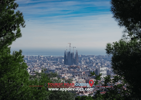 From Barcelona: Tour Private Barcelona, Montjuic & Palau - Frequently Asked Questions